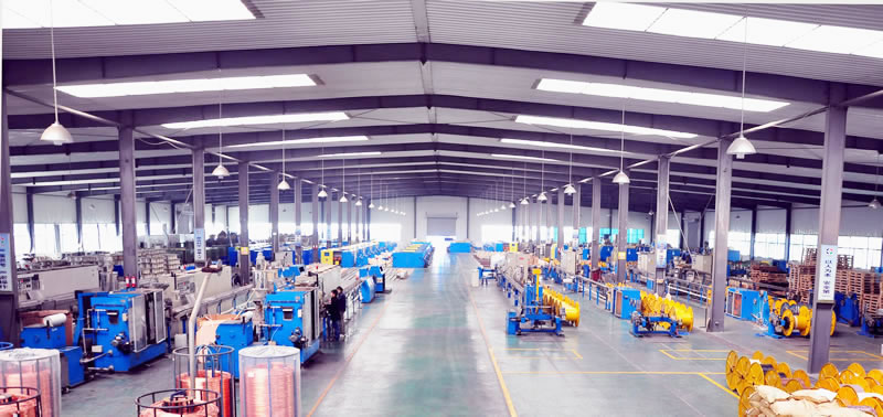 Network&nbsp;Cables6